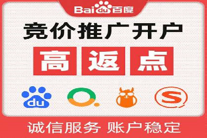 百度SEO推广公司案例分享：行业佼佼者经验